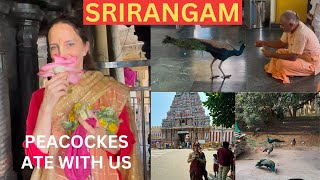 Incredible Experiance in SRIRANGAM 🇮🇳 PEACOCKES ATE WITH US