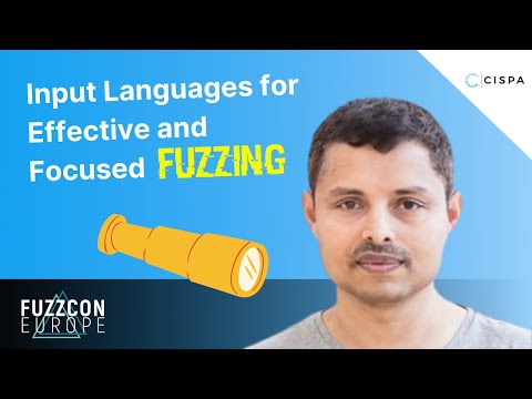 Input Languages for Effective and Focused Fuzzing