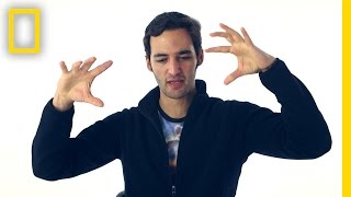 Jason Silva on Intuition