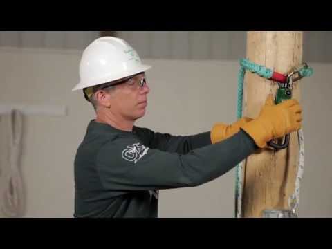 YouTube Thumbnail kabLN9yTpgU