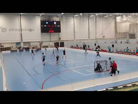 Pelicans SB - Hatsina P16