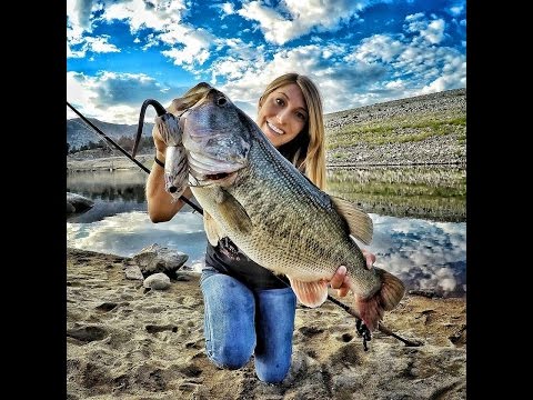 8lb 2oz  Bass on Nezumma Rat