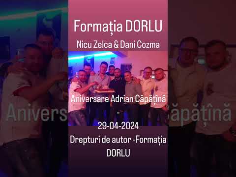 Formația DORLU -Aniversare Adrian Căpățînă Live-04
