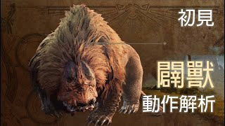 [MHWs] 闢獸動作解析