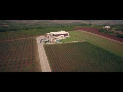 Temet winery Serbia