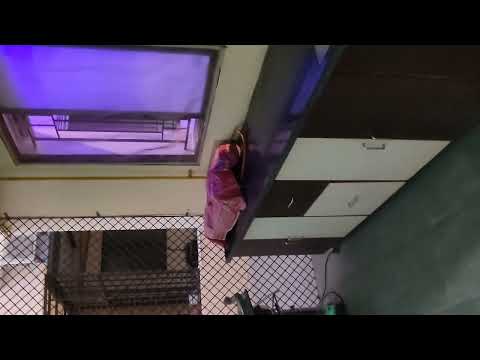 4 BHK 1600 Sq.ft. House for Sale in Tandalja, Vadodara