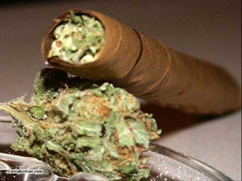 Pici ft. Kydutz & El Filamento' - Ceva Magic