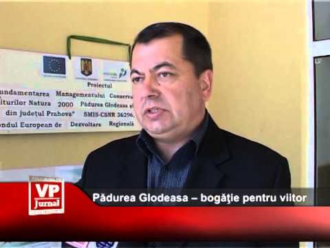 Pădurea Glodeasa – bogăţie pentru viitor