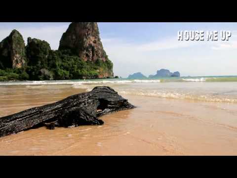 Discoshaman & Lemurian Feat. Alvaro Suarez - All We Want Is to Smile  (Original Mix)