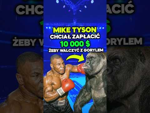 Mike Tyson chciał naprawdę walczyć z gorylem 😳