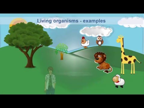 The cell - The building Unit of Living organism - علوم لغات - للصف الرابع الابتدائي - الترم الثاني -