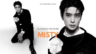 Download lagu Misty by NCT 127 (엔시티 127) // slowed reverb mp3 Download lagu Misty by NCT 127 (엔시티 127) // slowed reverb mp3