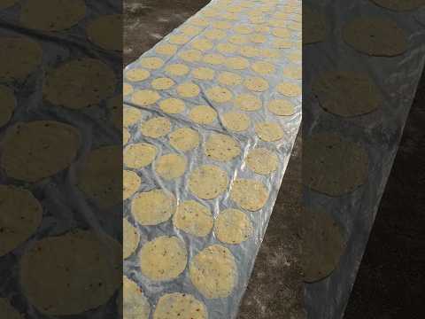 Har shubharambh se pehle kalesh aam baat hai 😨 Aloo Papad Recipe