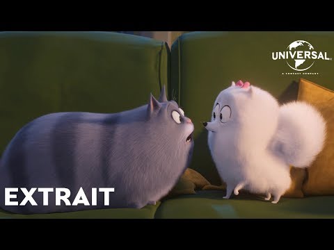 Comme des Bêtes 2 - Extrait : "Gidget remarque quelque chose" VF