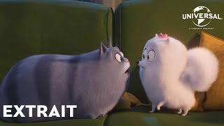 Comme des Bêtes 2 - Extrait : "Gidget remarque quelque chose" VF