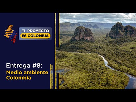 Medio ambiente Colombia - El proyecto es Colombia