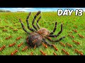 1 000 FIRE Ants Vs Lethal Prey