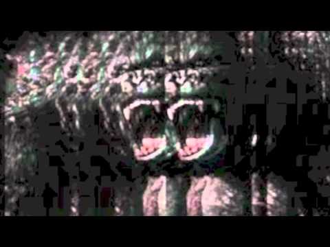 Luu Breeze King Kong (HD)