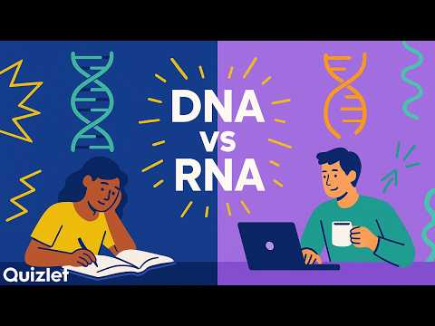 DNA vs RNA Explained | Structure, Function & 3 Types of RNA