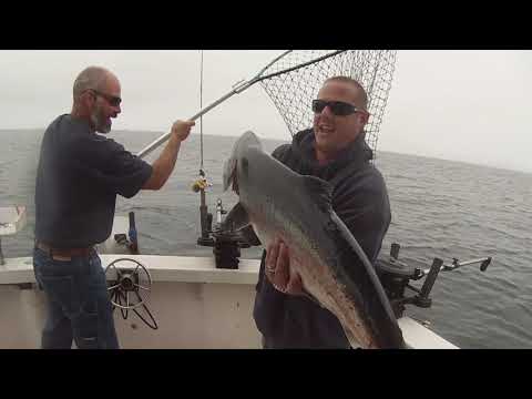 Fishing King Salmon, Crazy Teeth, 60 lb Halibut, Big Red Rock Cod In Ketchikan Alaska In HD Hank 3