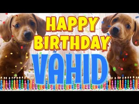 Happy Birthday Vahid! ( Funny Talking Dogs ) What Is Free On My Birthday
