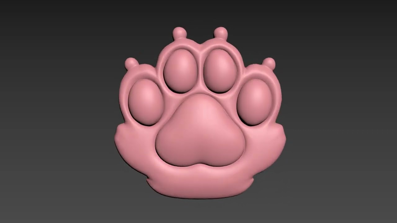 Cat Paw 3D Print Model