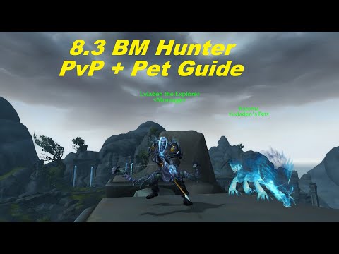 WoW 8.3 BM Hunter PvP + Pet Control Guide - Talents, Stats, Macros, Traits, Rotation