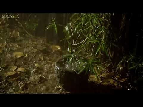 Pure Heavy Rain in Garden with Deep Thunder Sounds   Real Rain Sounds for Sleeping, Relaxing, Read