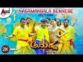 Anushka Nagamangala Bennege 2K Video Song Sadhu Kokila Ruma Sharma Devaraj Kumar