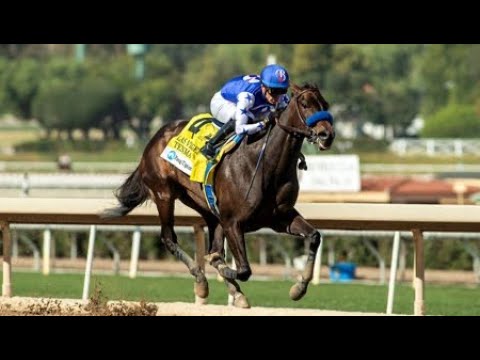 TENMA wins the G3 Las Virgenes Stakes