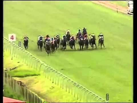 2010-12-26 Clairwood race 10