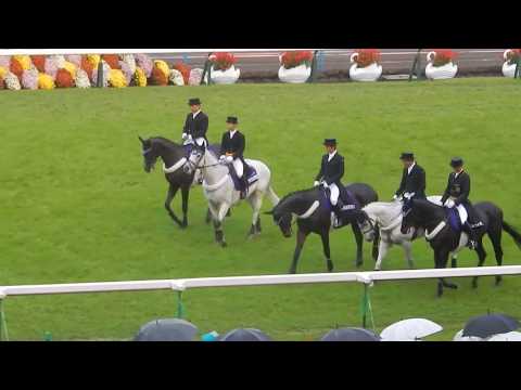 第78回菊花賞2017/この悪天候の中、落ち着いている誘導馬に拍手(2017.10.22)