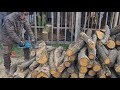Grandininis pjūklas Makita UC3550A; 2,0 kW; 35 cm elektrinis