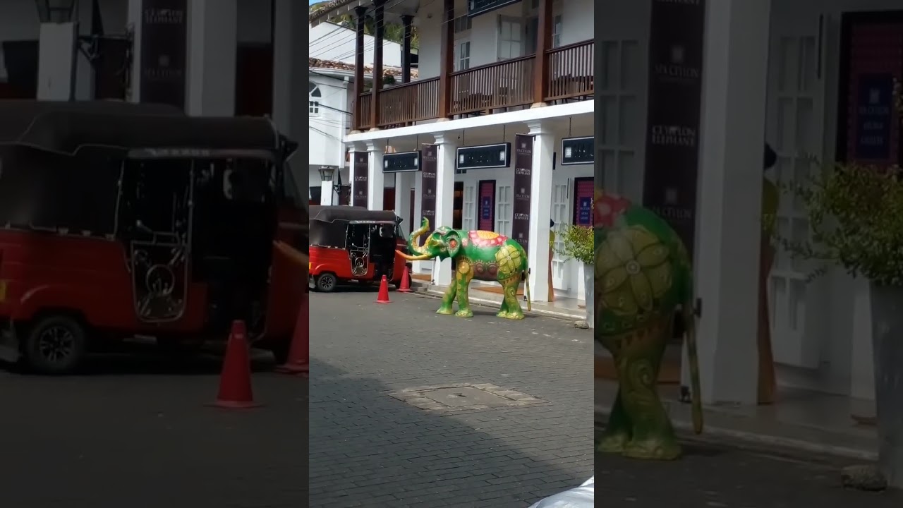 YouTube Short thumbnail