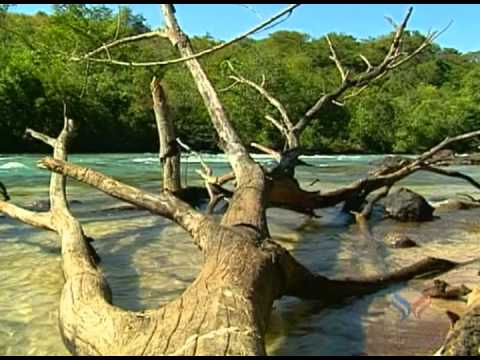 Um Madrigal para Gaya - Marcus Viana