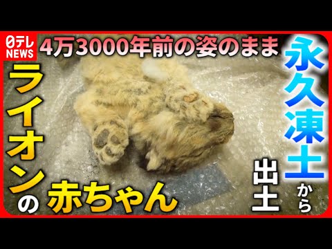 永久凍土に隠された:研究者らが13種類の感染性「ゾンビウイルス」を発見