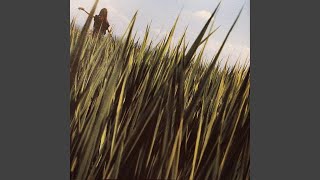 Cover art for chungking express+