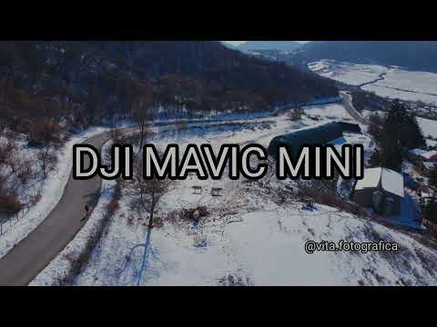 Video cinematic drone FHD ( DJI MAVIC MINI ) Mucche al pascolo 2