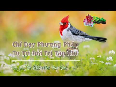 Chương 02: Chỉ Dạy Phương Pháp Tu Trì