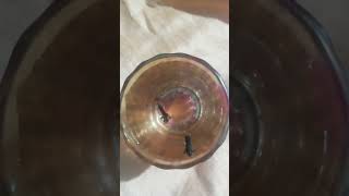 Download lagu ek kanch ke gilas le usmein Pani bhare usmein do long dalen mp3