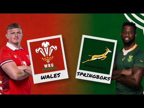 South Africa vs Wales 2023