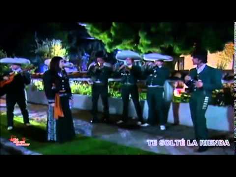 Duelo de serenatas - Pelea y reconciliación