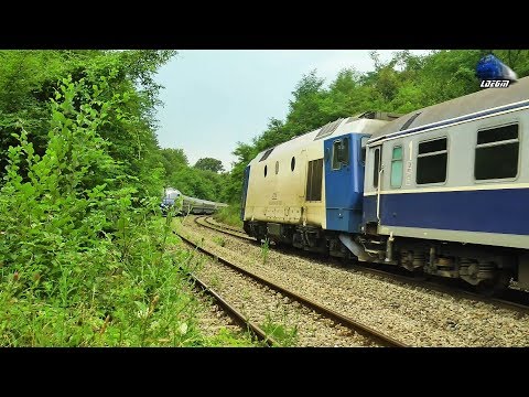 Horns Concert de Goarne By Jimmy 64-1264-2 & GM 64-1125-5 in Munții Apuseni Mountains - 28 July 2019