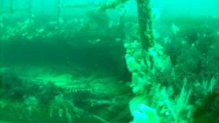 preview picture of video 'Diving Tapti Shipwreck Scotland - Where's my Buddy gone!?'