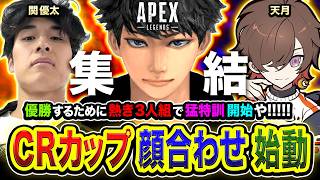 【APEXカスタム】CRカップ顔合わせ！ついに始動ですか！優勝するために猛特訓開始ッス!!!! 『Rush Gaming ラストDAY』  関優太, 天月【ハセシン】Apex Legends