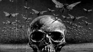 ▓▓ virgin prunes - decline and fall ▓▓