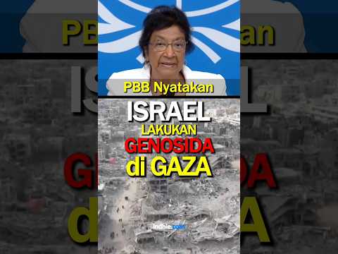 PBB Nyatakan Israel Telah Melakukan Genosida di Gaza #palestina