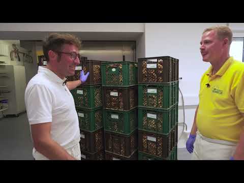 Expedition Mainschleife - MainBäcker Heinrich Wipfeld