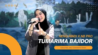 Download lagu TUMARIMA COVER [IINK KURNIA] BAJIDOR - NENG RINDI X NB PRO ( Music Cover) Pop Sunda Bajidor mp3