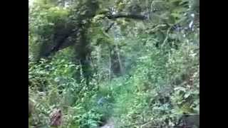 preview picture of video 'Mountains to Sea trail section, West Asheville, N.C. .mp4'